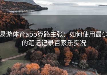 易游体育app算路主张：如何使用最少的笔记记录百家乐实况