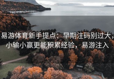 易游体育新手提点：早期注码别过大，小输小赢更能积累经验，易游注入