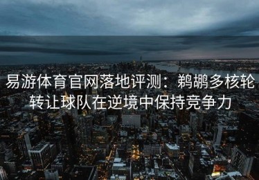 易游体育官网落地评测：鹈鹕多核轮转让球队在逆境中保持竞争力