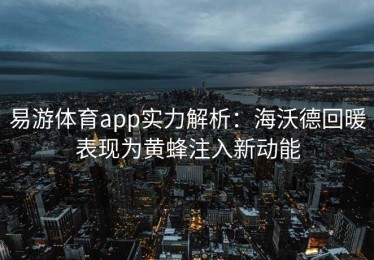 易游体育app实力解析：海沃德回暖表现为黄蜂注入新动能