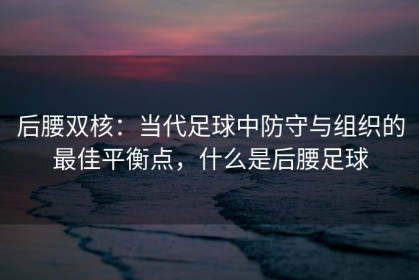 后腰双核：当代足球中防守与组织的最佳平衡点，什么是后腰足球