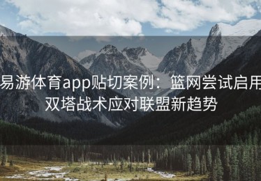 易游体育app贴切案例：篮网尝试启用双塔战术应对联盟新趋势