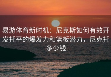 易游体育新时机：尼克斯如何有效开发托平的爆发力和篮板潜力，尼克托多少钱