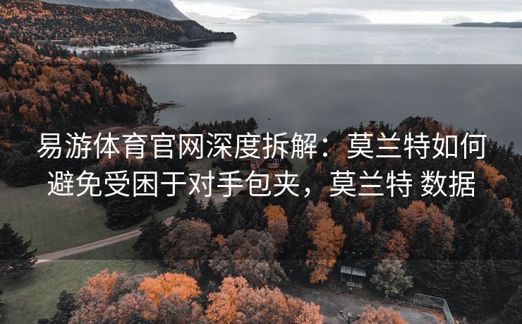 易游体育官网深度拆解：莫兰特如何避免受困于对手包夹，莫兰特 数据