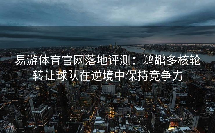 易游体育官网落地评测：鹈鹕多核轮转让球队在逆境中保持竞争力