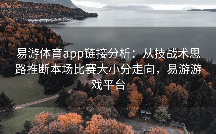 易游体育app链接分析：从技战术思路推断本场比赛大小分走向，易游游戏平台