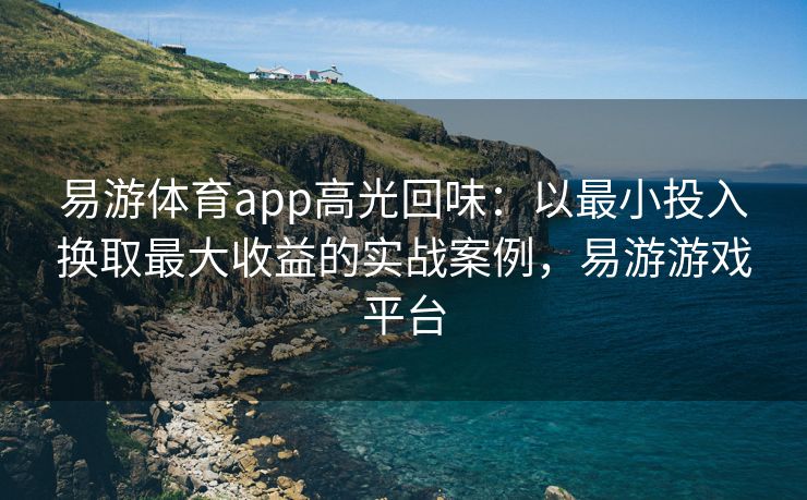 易游体育app高光回味：以最小投入换取最大收益的实战案例，易游游戏平台