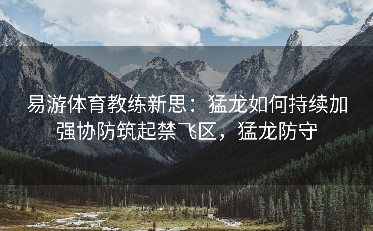 易游体育教练新思：猛龙如何持续加强协防筑起禁飞区，猛龙防守