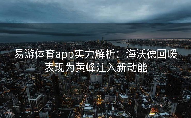 易游体育app实力解析：海沃德回暖表现为黄蜂注入新动能