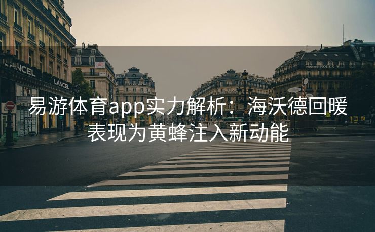 易游体育app实力解析：海沃德回暖表现为黄蜂注入新动能