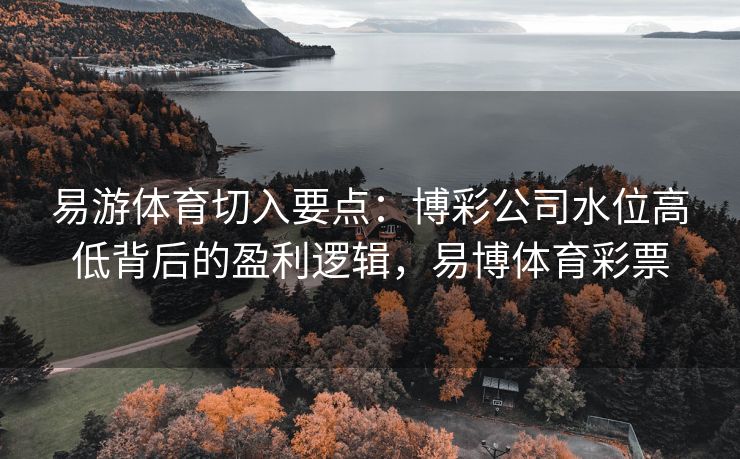 易游体育切入要点：博彩公司水位高低背后的盈利逻辑，易博体育彩票
