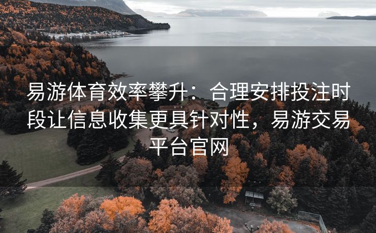 易游体育效率攀升：合理安排投注时段让信息收集更具针对性，易游交易平台官网