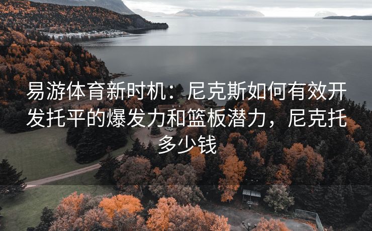 易游体育新时机：尼克斯如何有效开发托平的爆发力和篮板潜力，尼克托多少钱