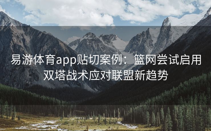 易游体育app贴切案例：篮网尝试启用双塔战术应对联盟新趋势