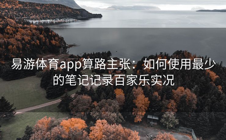 易游体育app算路主张：如何使用最少的笔记记录百家乐实况